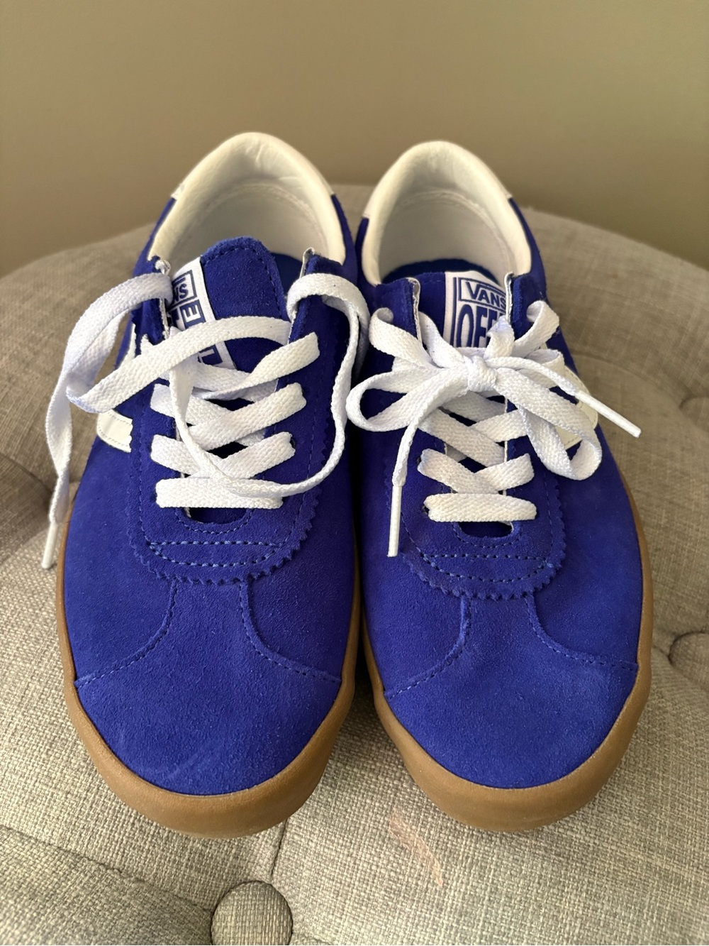 Vans Blue and White Low-Top Sneakers